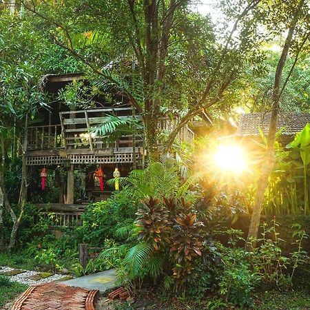 Tongluang Inthanon Homestay โต้งหลวงอินทนนท์โฮมสเตย์ Chom Thong Exterior photo