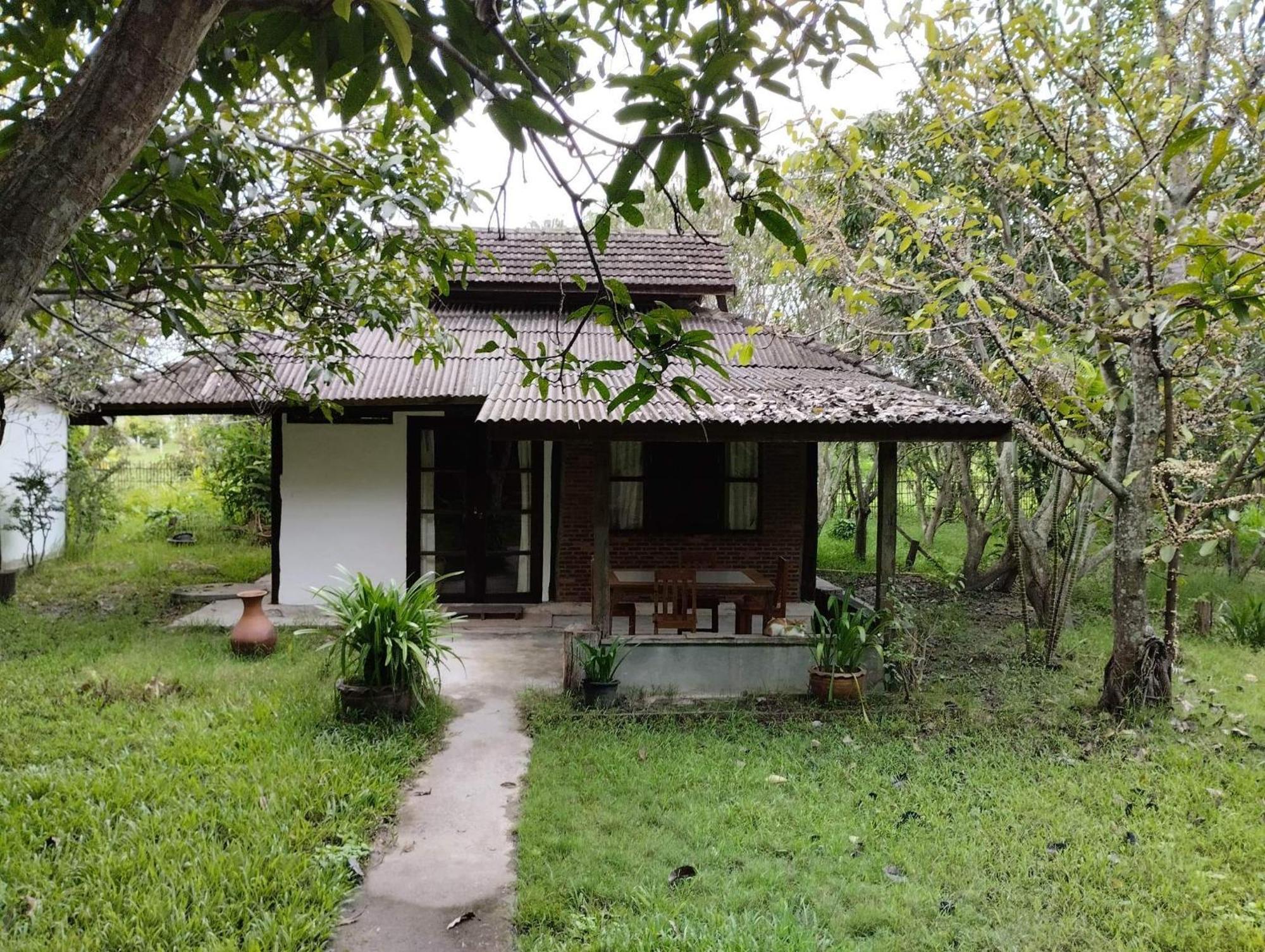 Tongluang Inthanon Homestay โต้งหลวงอินทนนท์โฮมสเตย์ Chom Thong Room photo
